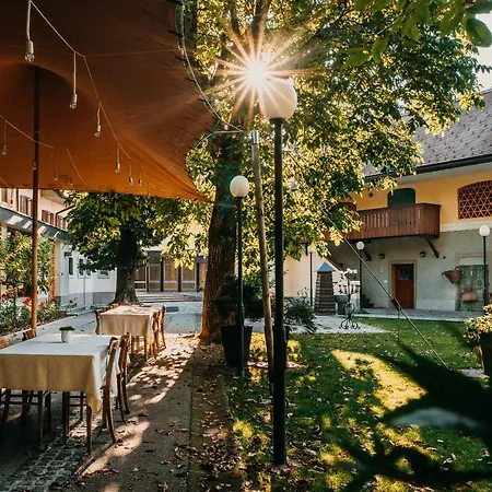 Hotel Dvor Jezersek Brnik 3*