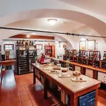 Отель Dvor Jezersek Brnik 3*