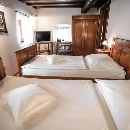 Dvor Jezersek Brnik מלון