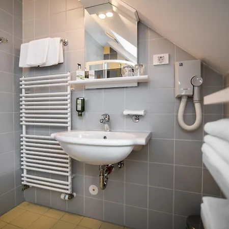 Dvor Jezersek Brnik 3* צרקליה נה גורניסקם