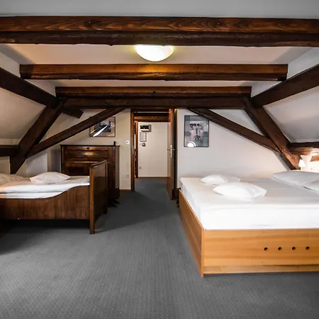 Hotel Dvor Jezersek Brnik 3*