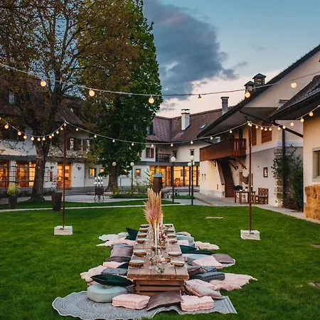 Hotel Dvor Jezersek Brnik 3*