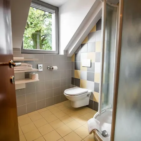 Hotel Dvor Jezersek Brnik 3*