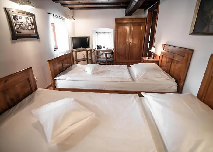 Dvor Jezersek Brnik מלון