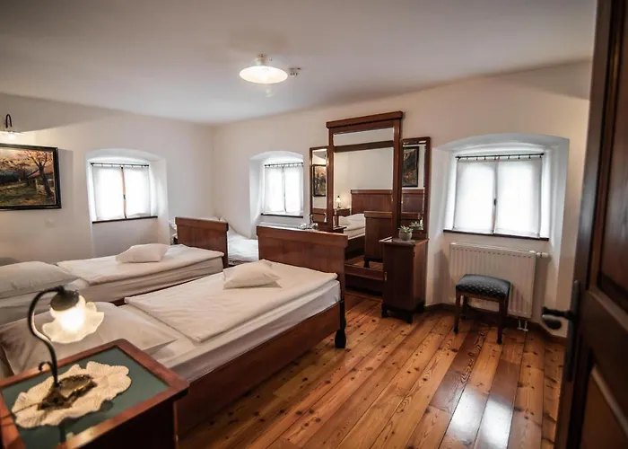 ホテル Dvor Jezersek Brnik