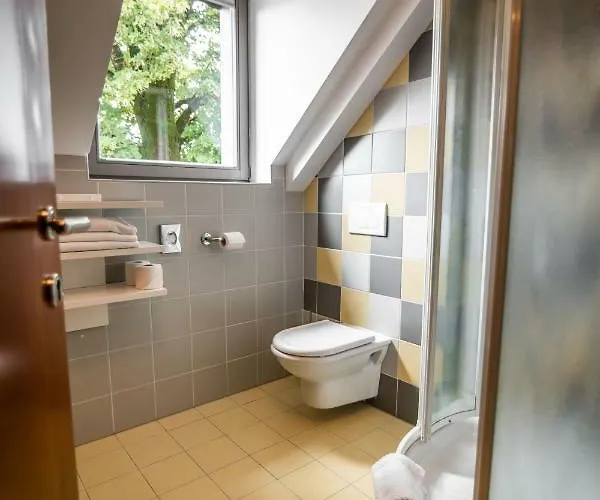 Hotel Dvor Jezersek Brnik 3*